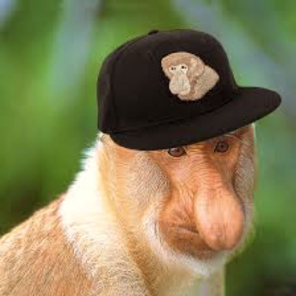 Meet your Posher, Daniella - Picture 2 of 8